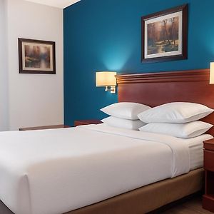 Signature Stay Inn & Suites - Downtown Hamilton